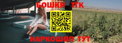 шишки Изобильный