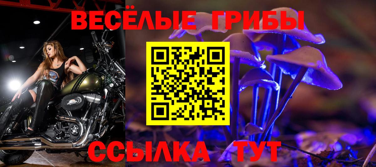 Галлюциногенные грибы прущие грибы Ливны